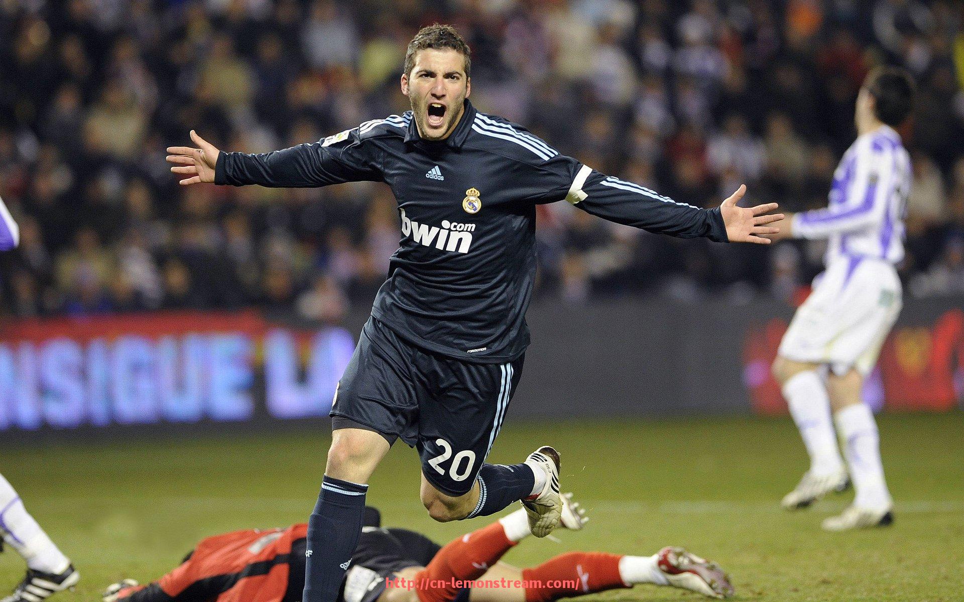 柠檬体育直播-激情口号响彻赛场，世俱杯球迷观赛应援热情高涨